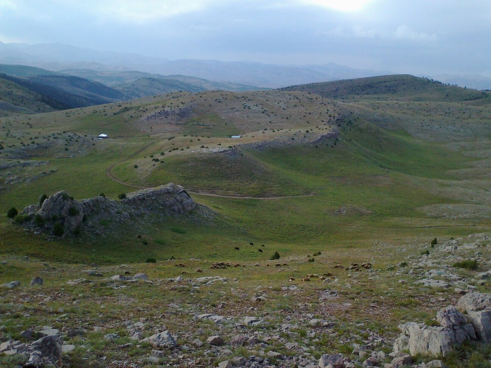 Çamoluk Kılıçtutan Köyü Resimleri 1