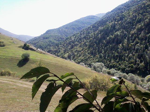Posof Süngülü Köyü Resimleri 6