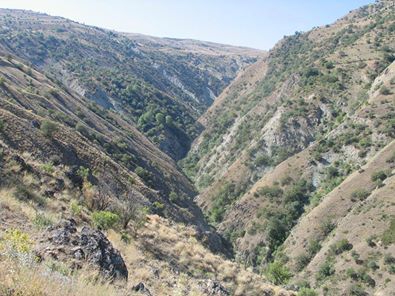 Çamoluk Koçak Köyü Resimleri 3