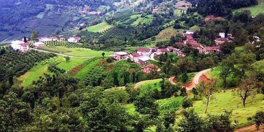 Araklı Köprüüstü Köyü Resimleri