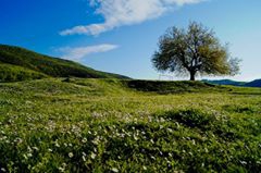 Biga Kepekli Köyü  Resimleri 3