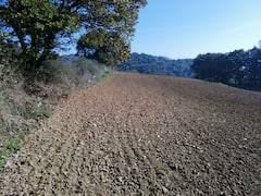 Biga Kozçeşme Köyü Resimleri 10