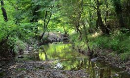 Biga Osmaniye Köyü  Resimleri 1