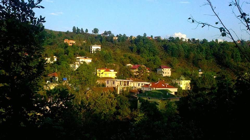 Araklı Ortaköy Köyü Resimleri 4
