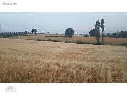 Biga Sarıca Köyü Resimleri 5