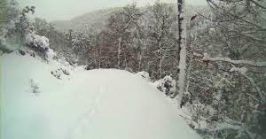 Biga Sarıkaya Köyü Resimleri 2