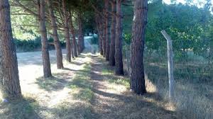 Biga Sarıkaya Köyü Resimleri 8