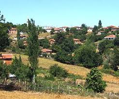 Biga Sarısıvat Köyü Resimleri 8