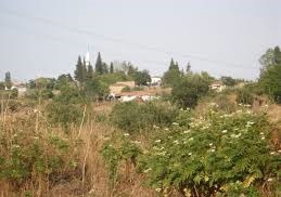 Biga Savştepe Köyü Resimleri 1