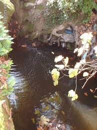 Biga Sazoba Köyü Resimleri 8