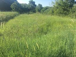 Biga Selvi Köyü Resimleri 6