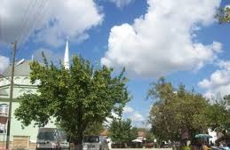 Biga Selvi Köyü Resimleri 7