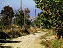 Biga Sinekçi Köyü Resimleri 1