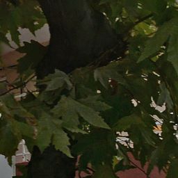 Araklı Kükürtlü Köyü Resimleri 12