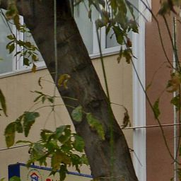 Araklı Kükürtlü Köyü Resimleri 13