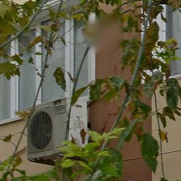 Araklı Kükürtlü Köyü Resimleri 14
