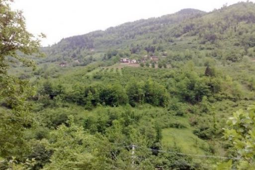Araklı Kükürtlü Köyü Resimleri 24