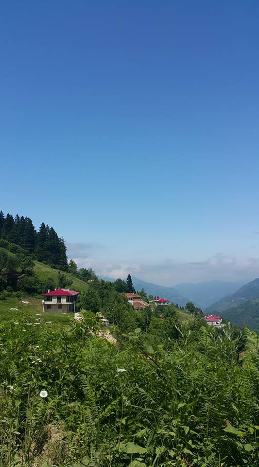 Araklı Kükürtlü Köyü Resimleri 27