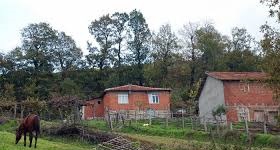 Biga Yeşilköy Köyü Resimleri 6