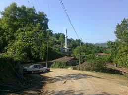 Biga Yeşilköy Köyü Resimleri 7