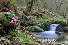 Biga Yolindi  Köyü  Resimleri 3