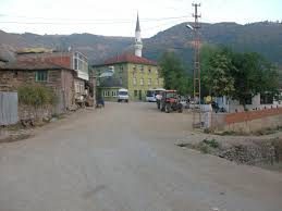 Biga Yolindi  Köyü  Resimleri 9