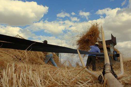 Kayseri Akın Köyü Resimleri 30