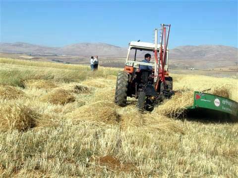 Kayseri Akın Köyü Resimleri 39