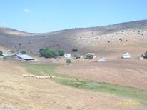 Çamoluk  Kutluca Köyü Resimleri 1