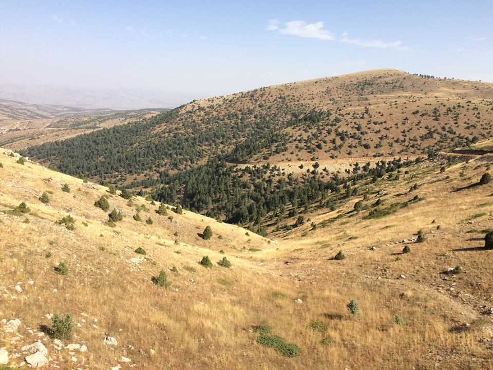 Çamoluk  Kutluca Köyü Resimleri 5