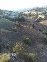 Çamoluk Okçaören Köyü Resimleri 4