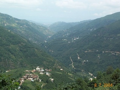 Araklı Pervane Köyü Resimleri 1