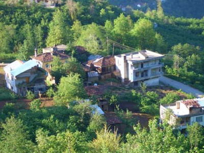 Araklı Pervane Köyü Resimleri 10