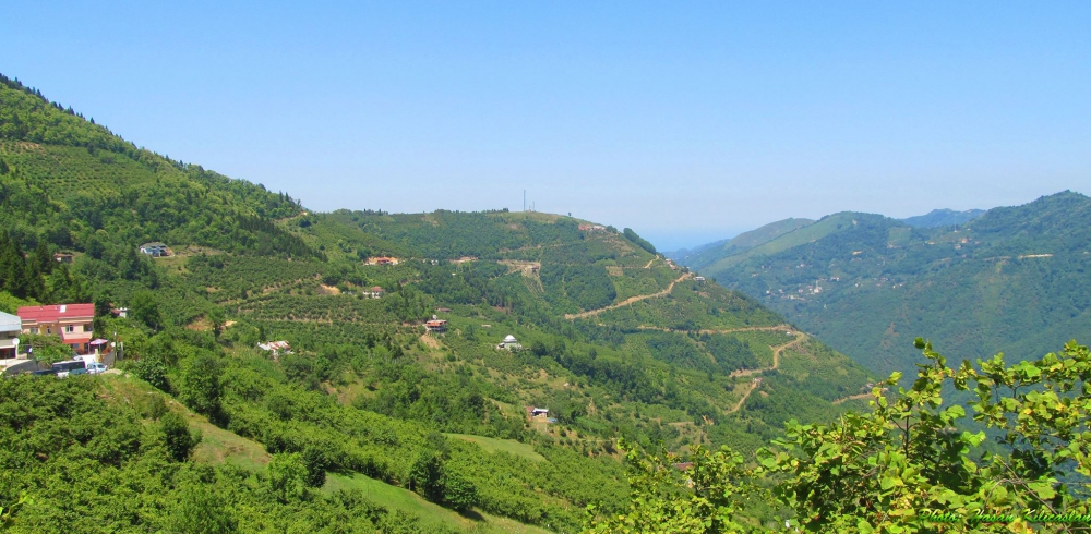 Araklı Pervane Köyü Resimleri 11