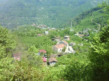 Araklı Pervane Köyü Resimleri 2