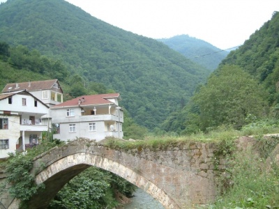 Araklı Pervane Köyü Resimleri 3