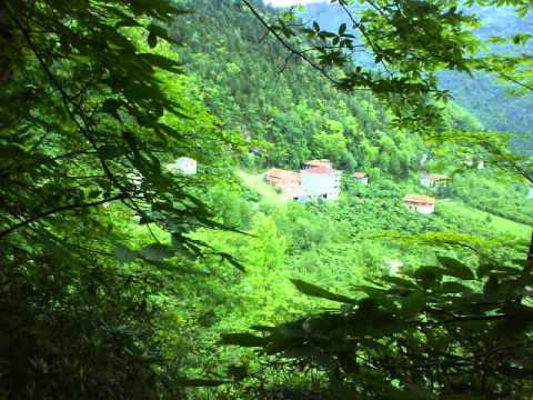 Araklı Pervane Köyü Resimleri 6