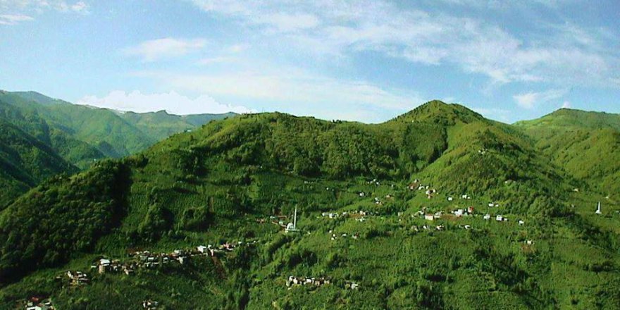 Araklı Pervane Köyü Resimleri