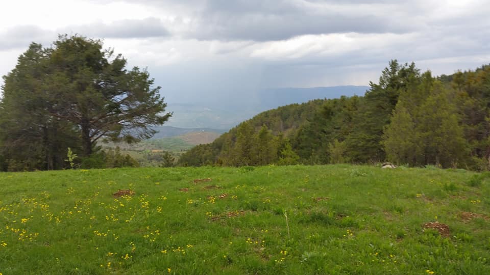 Çamoluk Pınarlı Köyü Resimleri 10