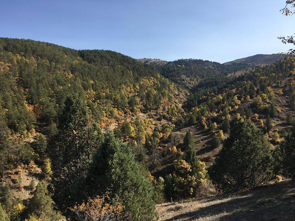 Çamoluk Pınarlı Köyü Resimleri 11