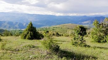 Çamoluk Pınarlı Köyü Resimleri 12