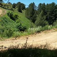 Çamoluk Pınarlı Köyü Resimleri 2