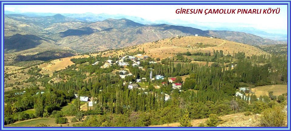 Çamoluk Pınarlı Köyü Resimleri 5