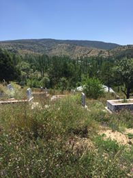 Çamoluk Pınarlı Köyü Resimleri 6