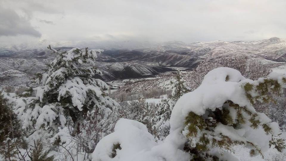 Çamoluk Pınarlı Köyü Resimleri 7