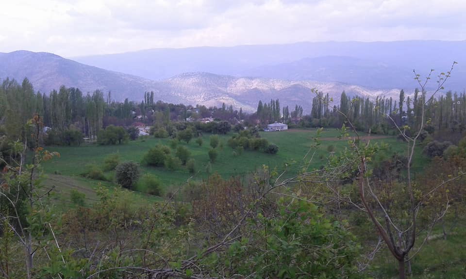 Çamoluk Pınarlı Köyü Resimleri 9