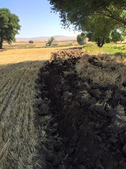 Afşin Altınelma Köyü Resimleri 13