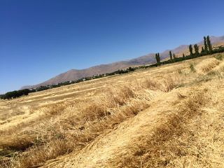 Afşin Altınelma Köyü Resimleri 2