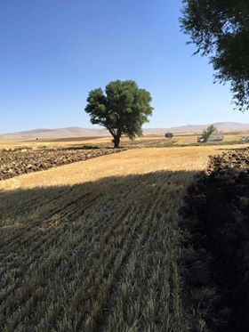 Afşin Altınelma Köyü Resimleri 3