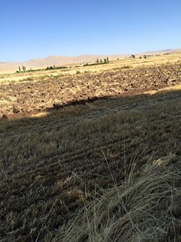 Afşin Altınelma Köyü Resimleri 4